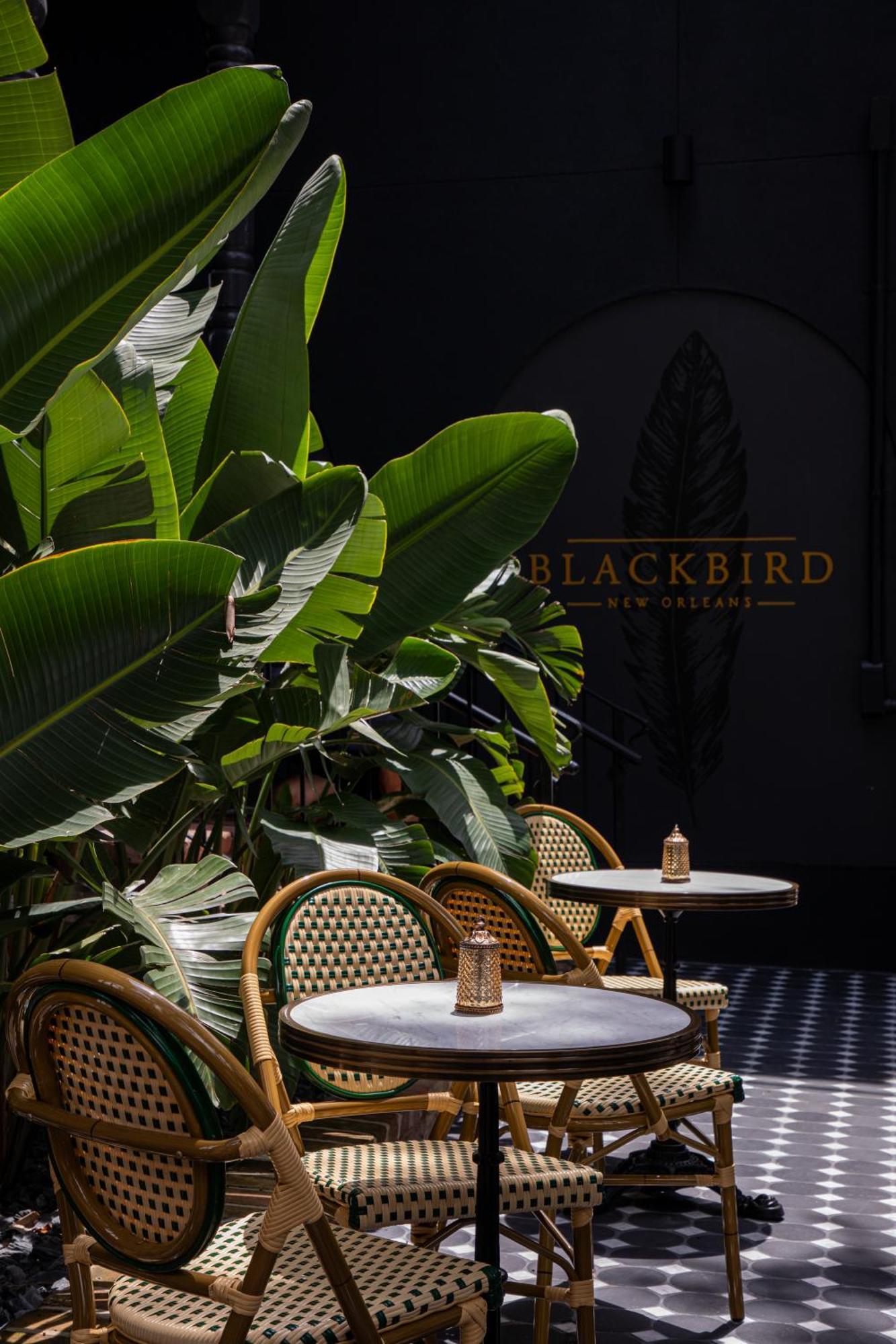 Blackbird Hotel นิวออร์ลีนส์ ภายนอก รูปภาพ