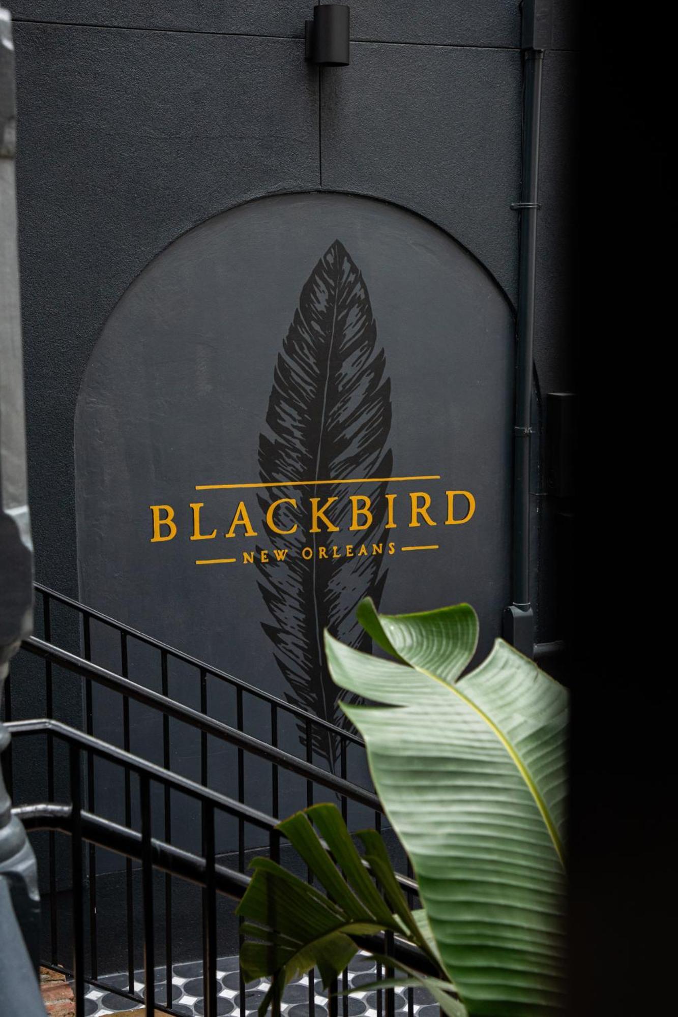 Blackbird Hotel นิวออร์ลีนส์ ภายนอก รูปภาพ