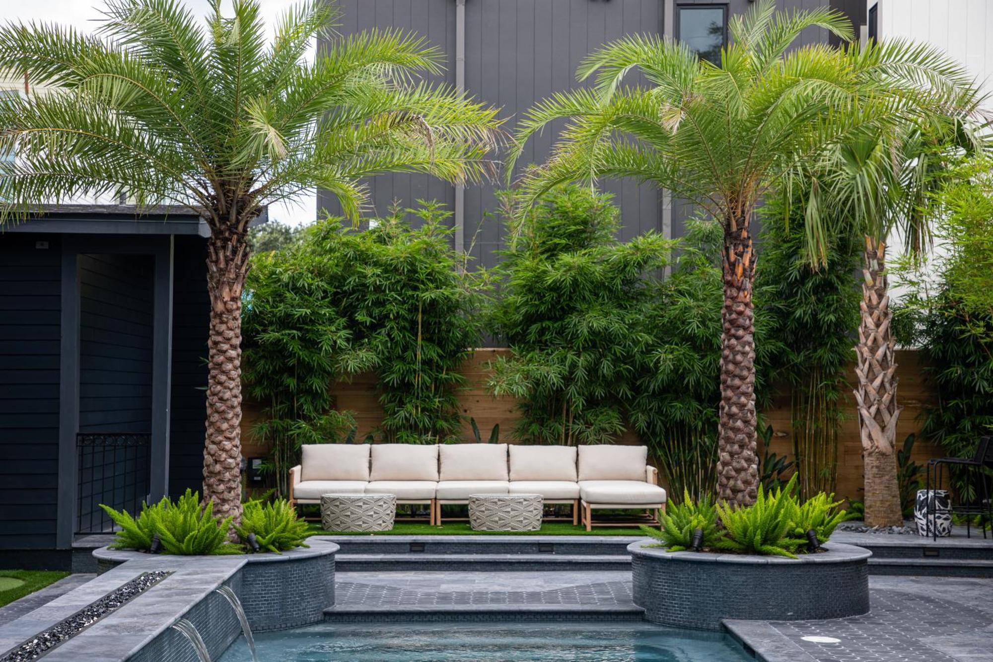 Blackbird Hotel นิวออร์ลีนส์ ภายนอก รูปภาพ