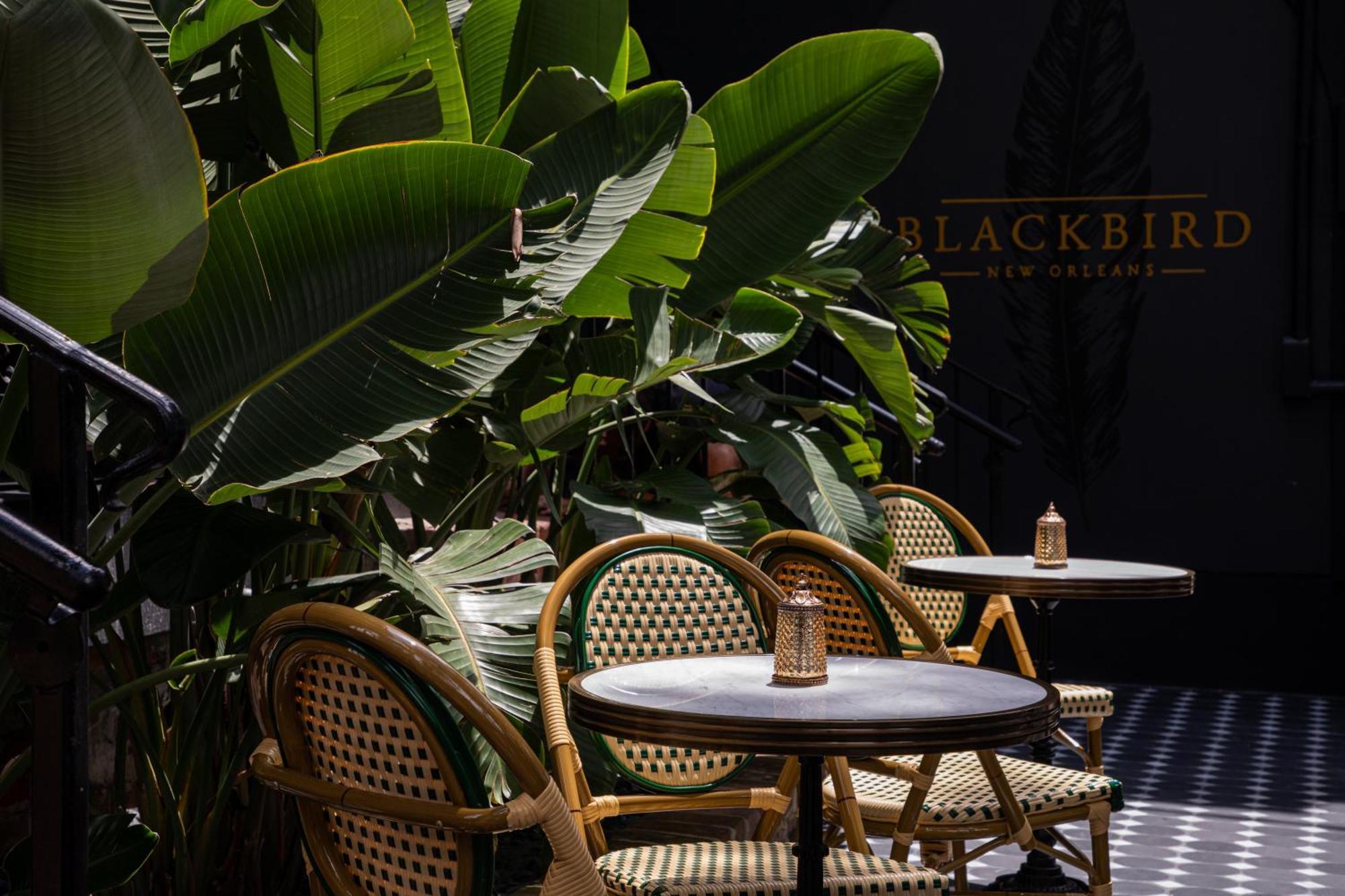 Blackbird Hotel นิวออร์ลีนส์ ภายนอก รูปภาพ